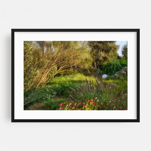 BotanicalDryGarden in Orbetello - Orbetello Tuscany Italy Photography Nature Garden Botanical Floral Scenic Landscape Summer Black Framed Wall Art Print 5 x 7 inches