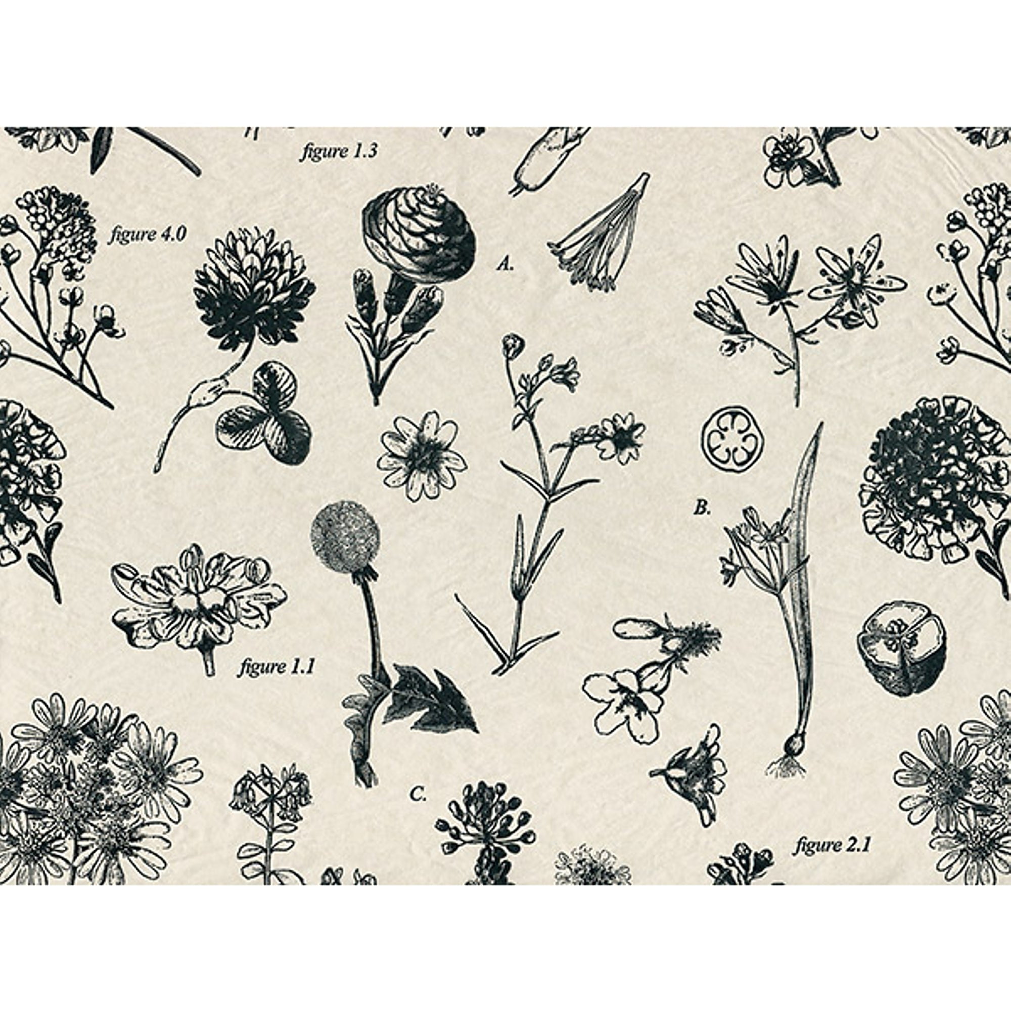 Botanicals Tissue Paper, 20in. X 30in. Sized Sheets - 120 Sheets (p1206)