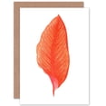 thumbnail image 1 of Botanics Red Orange Fine Stripes Greetings Card Plus Envelope Blank inside, 1 of 3