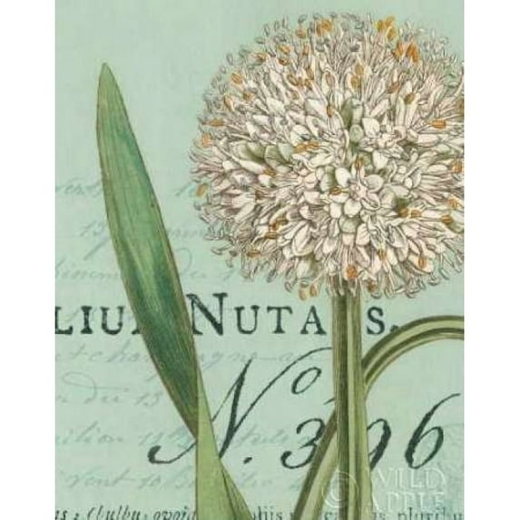 Botanique Bleu II Poster Print by Wild Portfolio