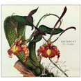 thumbnail image 1 of Botanist - VI: Flora - Rock - CD, 1 of 1