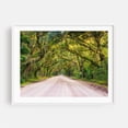 thumbnail image 1 of To Botany Bay - Edisto Island South Carolina Photography Forest Nature Scenic Landscape Autumn Rustic Botanical White Framed Wall Art Print 9 x 12 inches, 1 of 3