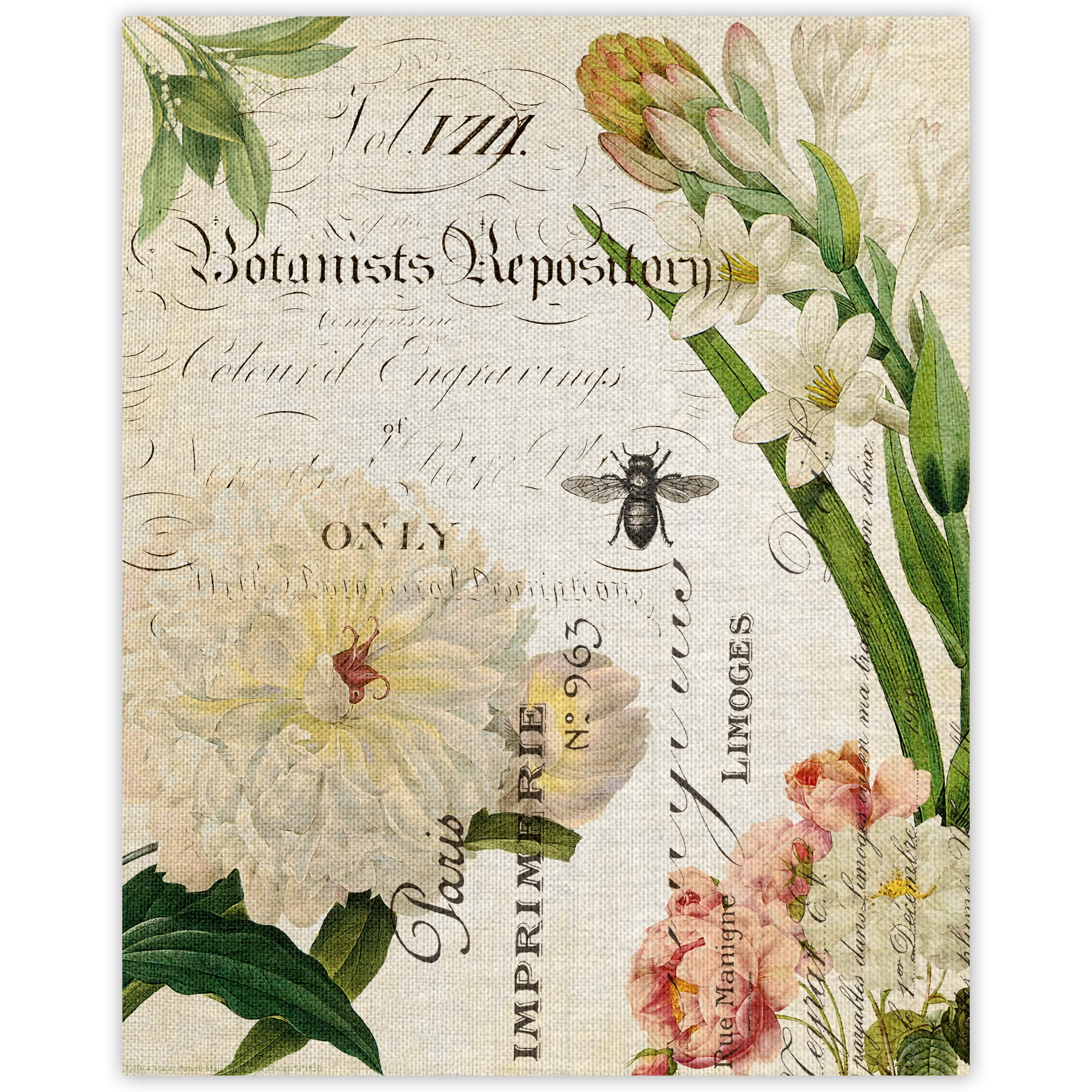 Botany Collage II Floral Canvas Wall Art, 16x20