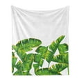 thumbnail image 1 of Botany Soft Flannel Fleece Blanket, Vibrant Tropical Climate Large Leaves Habitat Summer Desert Foliage Image, Cozy Plush for Indoor and Outdoor Use, 70" x 90", Hunter Green Yellow, by Ambesonne, 1 of 5