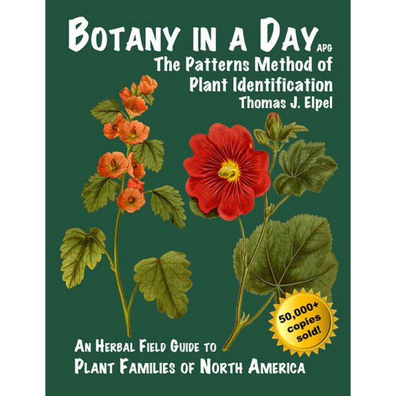 Pre-Owned Botany in a Day: The Patterns Method of Plant Identification (Paperback) 1892784351 9781892784353