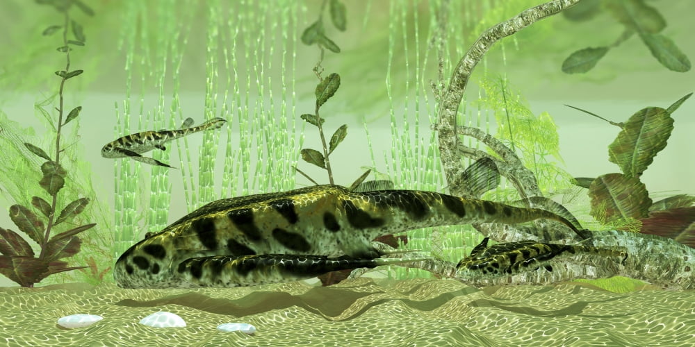 Bothriolepis a freshwater bottom feeder from the Devonian Period Canvas Art - Corey FordStocktrek Images (20 x 10)