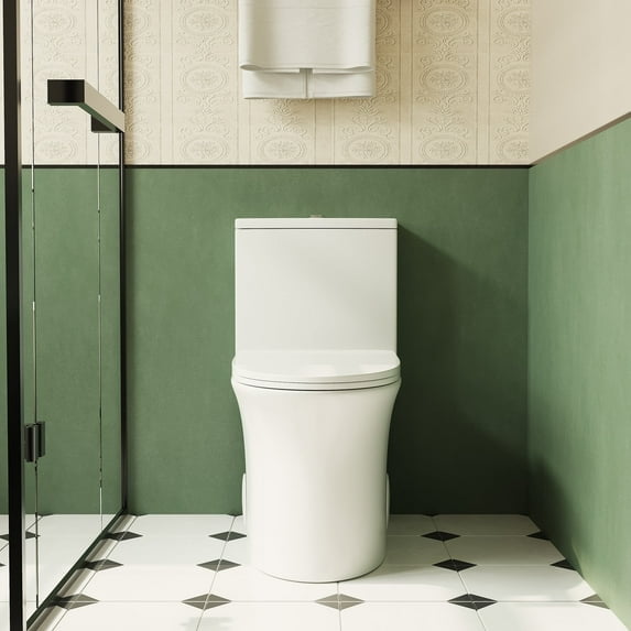 Bothwa Home One-Piece Elongated Toilet, Dual Flush 1.1/1.6 GPF, Comfort Height, Floor Mounted, cUPC & WaterSense Certified, Powerful Flush, Easy Install, Modern Compact Design