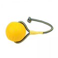Bothyi 6xEVA Dog Ball Toys Yellow Bite Resistant for Dogs Training