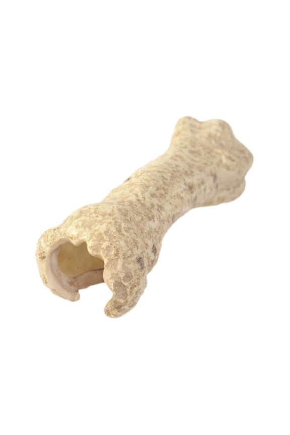 Aquarium Hideout Cave Betta Hideout Tank Resin Reptiles Decor Reptile House Bone Shape