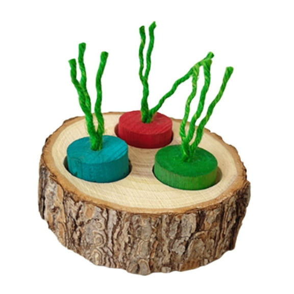 Bothyi Foraging Feeder Toy Puzzle Feeder Treats Dispenser for Rat s Chinchilla colorful