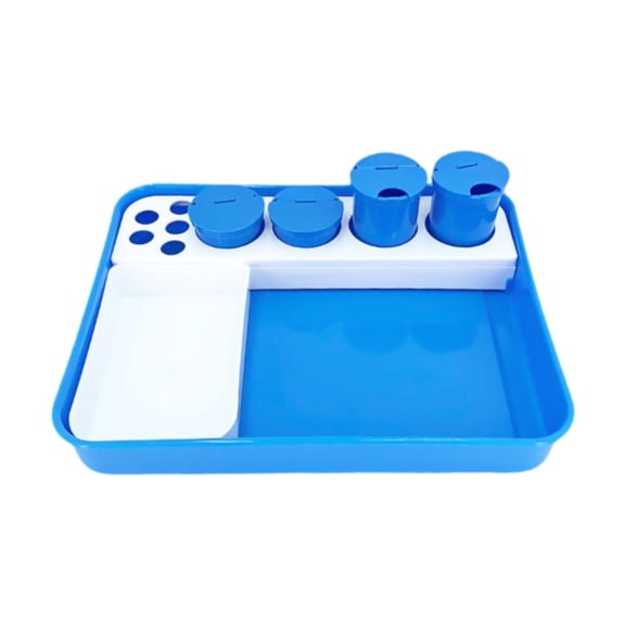 Bothyi Instrument Tray Container Disinfection Tray for Beauty Salon Supplies