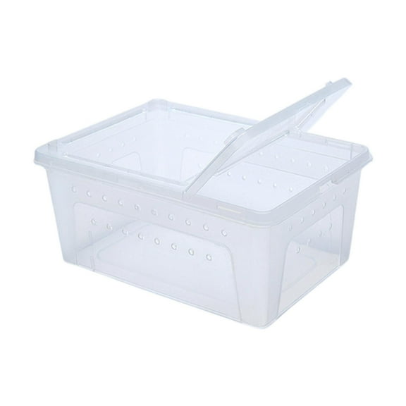Bothyi Reptile Breeding Box Turtle Transport Container for Scorpion Turtle Silkworm White