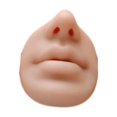 thumbnail image 1 of Bothyi Silicone Nose Lip Model Piercing Practice Skin Mannequin Teaching Tool Fake Nose Deep Skin, 1 of 8