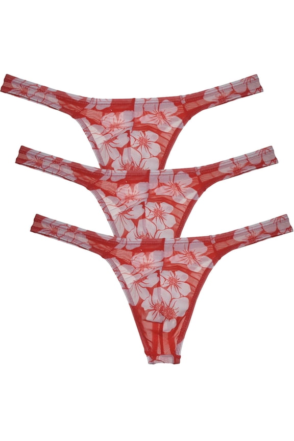 3Pack Men's Mesh Sheer Briefs Spandex Mini Bottoms Thong Hipster Tangas Underwear Sunbathe Underpants Lingerie 3 Wintersweet M