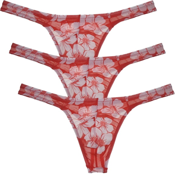 Botmois 3Pack Men's Mesh Sheer Briefs Spandex Mini Bottoms Thong Hipster Tangas Underwear Sunbathe Underpants Lingerie 3 Wintersweet M