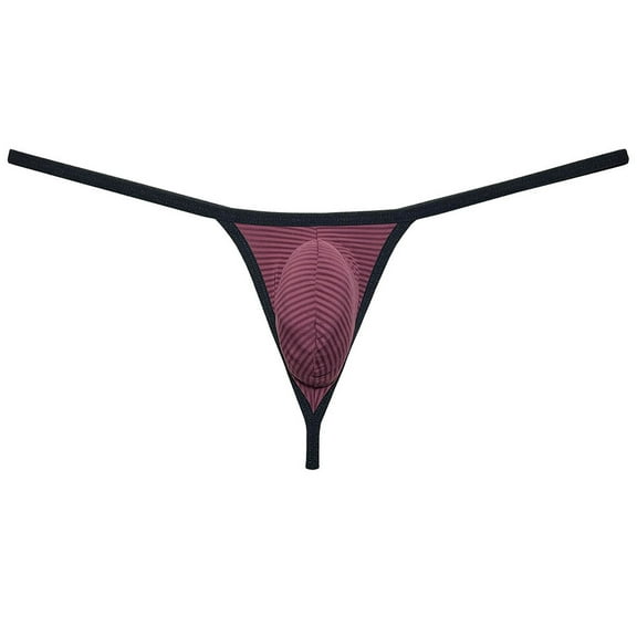 Botmois Men Bikini Thong Underwear Low-rise G-string Silk Soft Pouch T-back Lingerie Wine Red M