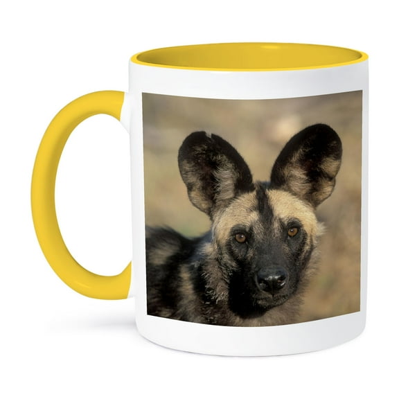 3dRose, Botswana, Chobe NP, African Wild Dog, Savuti Marsh-AF05 PSO0074 - Paul Souders, 11oz Two-Tone Yellow Mug