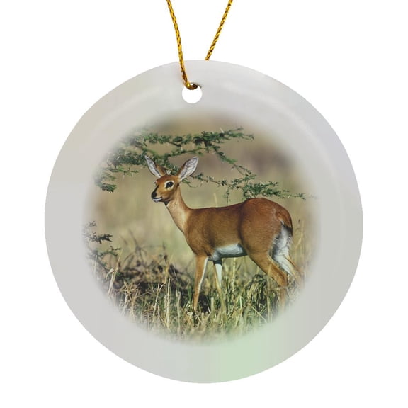 3drose, Botswana, Chobe Np, Steenbok Wildlife, Savuti Marsh-af05 Pso0181 - Paul Souders, Circle Porcelain Ornament