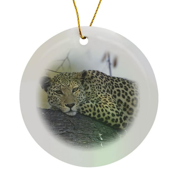 3drose, Botswana, Moremi Game Reserve, Leopard -af05 Pso0136 - Paul Souders, Circle Porcelain Ornament