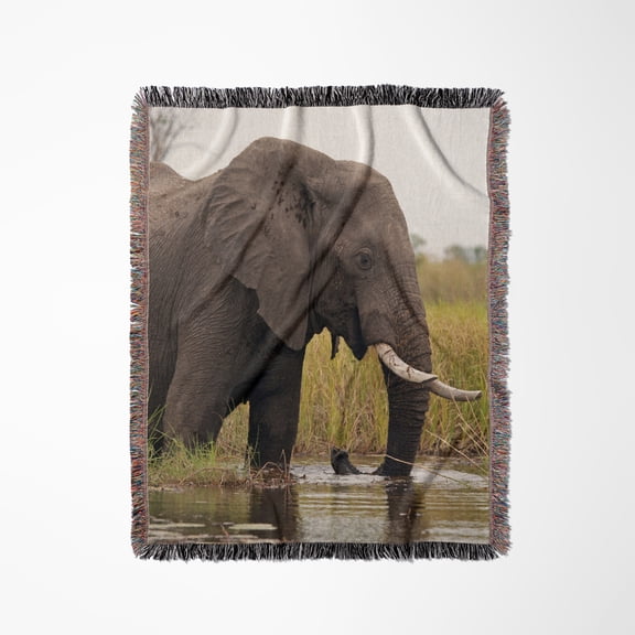 Botswana, Okavango Delta. Elephant - Af05 Kwi0007 - Kymri Wilt, Woven Blanket