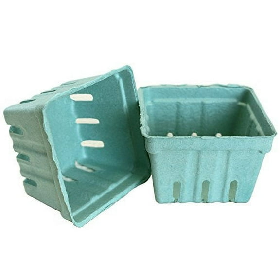 Bottlecaps Paper Berry Storage Basket, Pastel Green Color, Set of 10 Piece Count 10