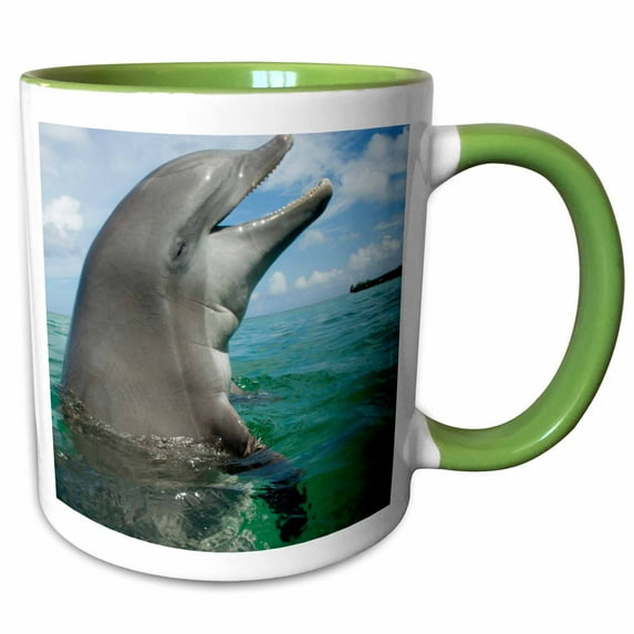 3drose, Bottlenose Dolphins, Caribbean Sea, Honduras - Na02 Sws0045 - Stuart Westmorland, 15oz Two-tone Green Mug