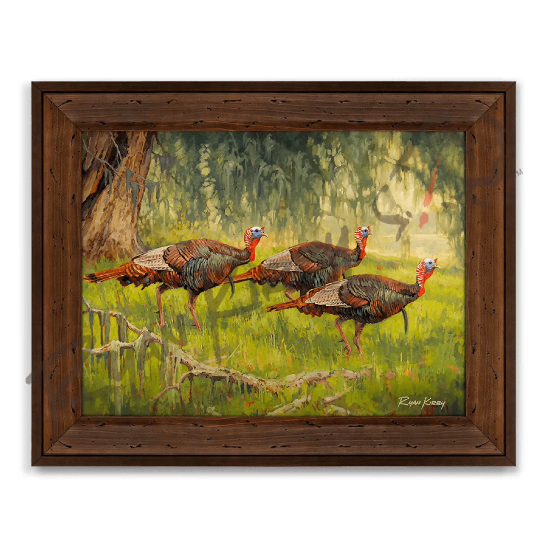 Bottomland-Bachelors-Wild- 
