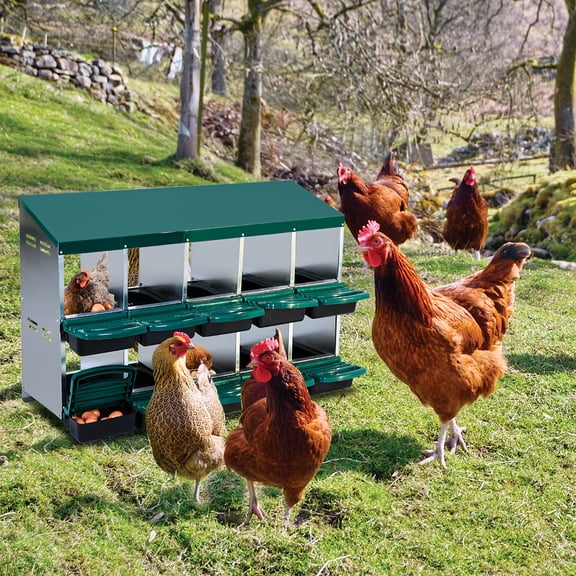 BouPower Chicken Nesting Box,Hen Nest Boxes,Roll Away Eggs Laying Boxes,6 Hole/8 Hole/10 Hole 2 Layer Metal Nesting Boxes for Chicken,Easy Egg Collection