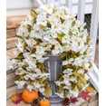 thumbnail image 1 of Bougainvillea Artificial Fall Hanging Flowers Plants for Outdoors Autumn Decoration, 2pcs Faux Bougainvillea Vines White Fake Flowers Realistic UV Resistant Silk Flowers for Outside Planter Yard Home, 1 of 17