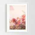 thumbnail image 1 of Bougainvillea on Pastel Pink - Cascais Lisbon Portugal Photography Floral Botanical Flowers Pastel Summer Minimalist Tropical White Framed Wall Art Print 5 x 7 inches, 1 of 3