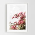 thumbnail image 1 of Bougainvillea - Springville California Photography Floral Flowers Botanical Nature Tropical Garden Summer White Framed Wall Art Print 16 x 24 inches, 1 of 3
