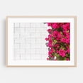 thumbnail image 1 of Bougainvillea and White Brick Wall in Palm Springs - Palm Springs California Photography Oak Framed Wall Art Print 24 x 36 inches, 1 of 6
