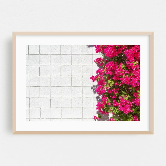 Bougainvillea and White Brick Wall in Palm Springs - Palm Springs California Photography Oak Framed Wall Art Print 24 x 36 inches