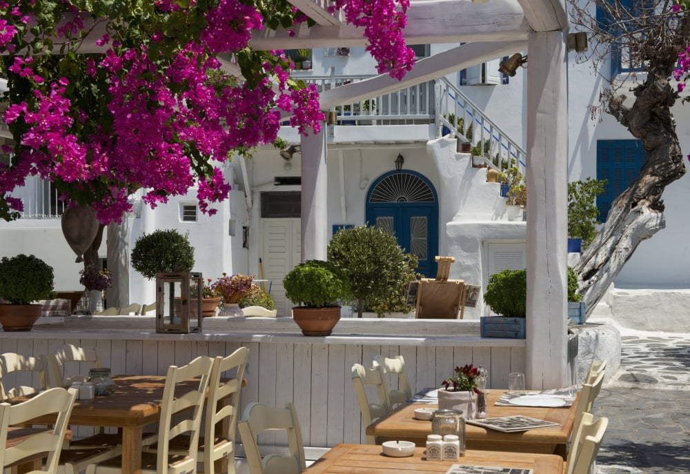Bougainvillea growing around a taverna Mykonos Town Mykonos Cyclades Greek Islands Greece Canvas Art - Ellen Rooney Design Pics (36 x 24)