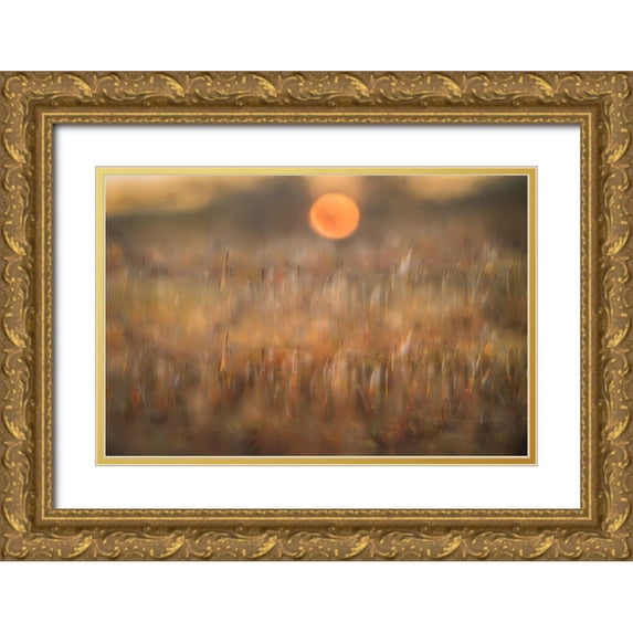 Bouhuijzen, Ina 18x13 Gold Ornate Wood Framed with Double Matting Museum Art Print Titled - sunrise among the rough hair moss