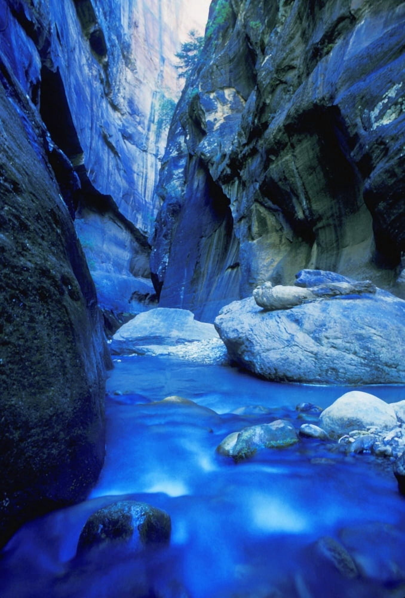 Boulder Filled River At Bottom Of Canyon Canvas Art - Don Hammond Design Pics (11 x 17)