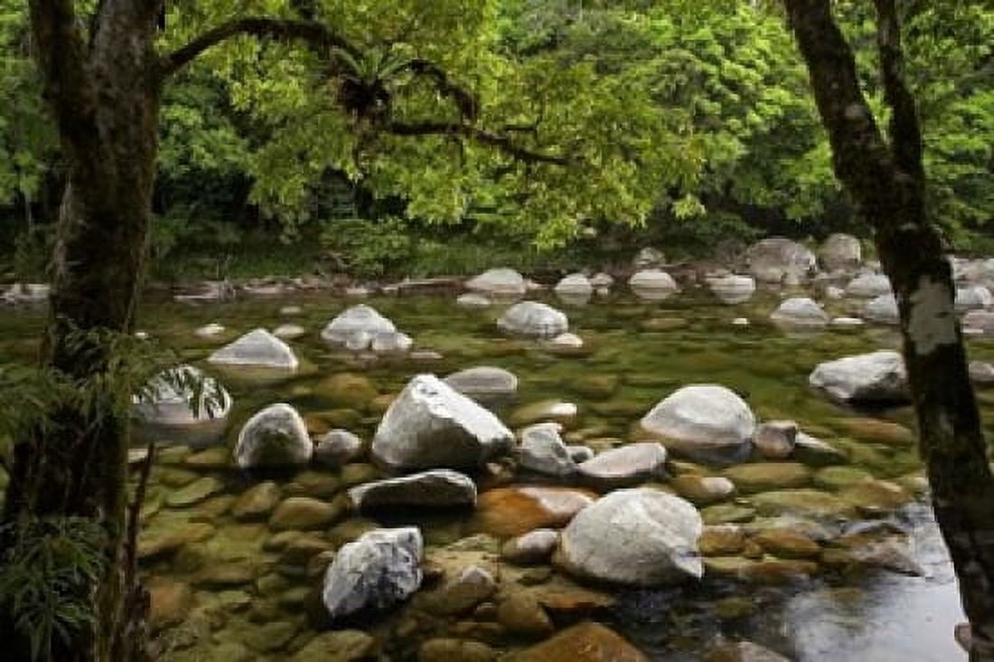 Boulders and Mossman River North Queensland Australia Canvas Art - David Wall DanitaDelimont (26 x 17)