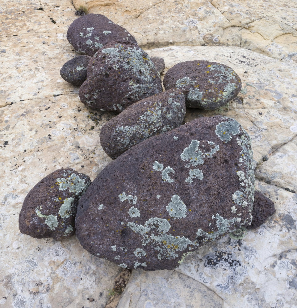 Boulders covered with lichen Grand Staircase-Escalante National Monument Utah USA Canvas Art - Panoramic Images (24 x 24)