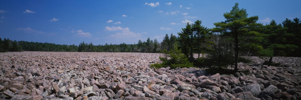 Boulders on a landscape Hickory Run State Park Pennsylvania USA Canvas Art - Panoramic Images (27 x 9)