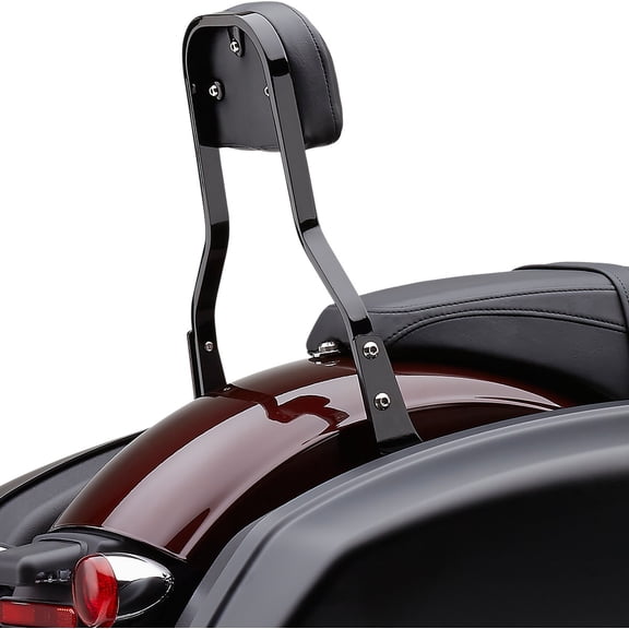 Boulevard Exhaust Detachable Backrest Kit - Short - Black