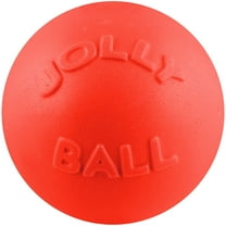 Jolly Pets Bounce-n-Play Medium 6 inch Orange Ball for Dogs