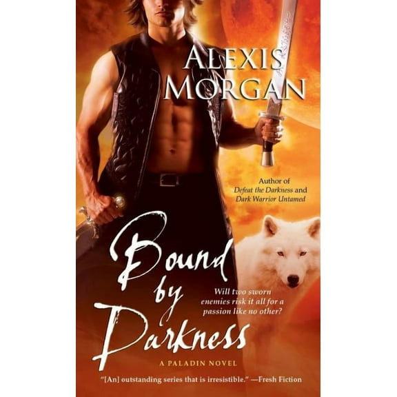 Bound by Darkness : A Paladin Novel (Paperback)