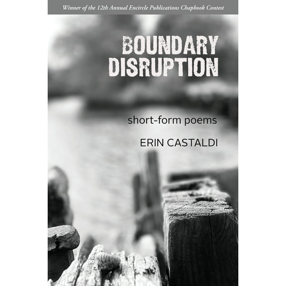 Boundary Disruption, (Paperback)