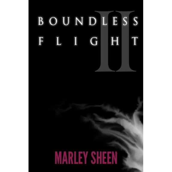 Boundless Flight 2 Paperback 1503063348 9781503063341 Marley Sheen