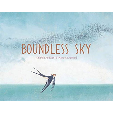 Pre-Owned Boundless Sky (Hardcover) by Amanda Addison