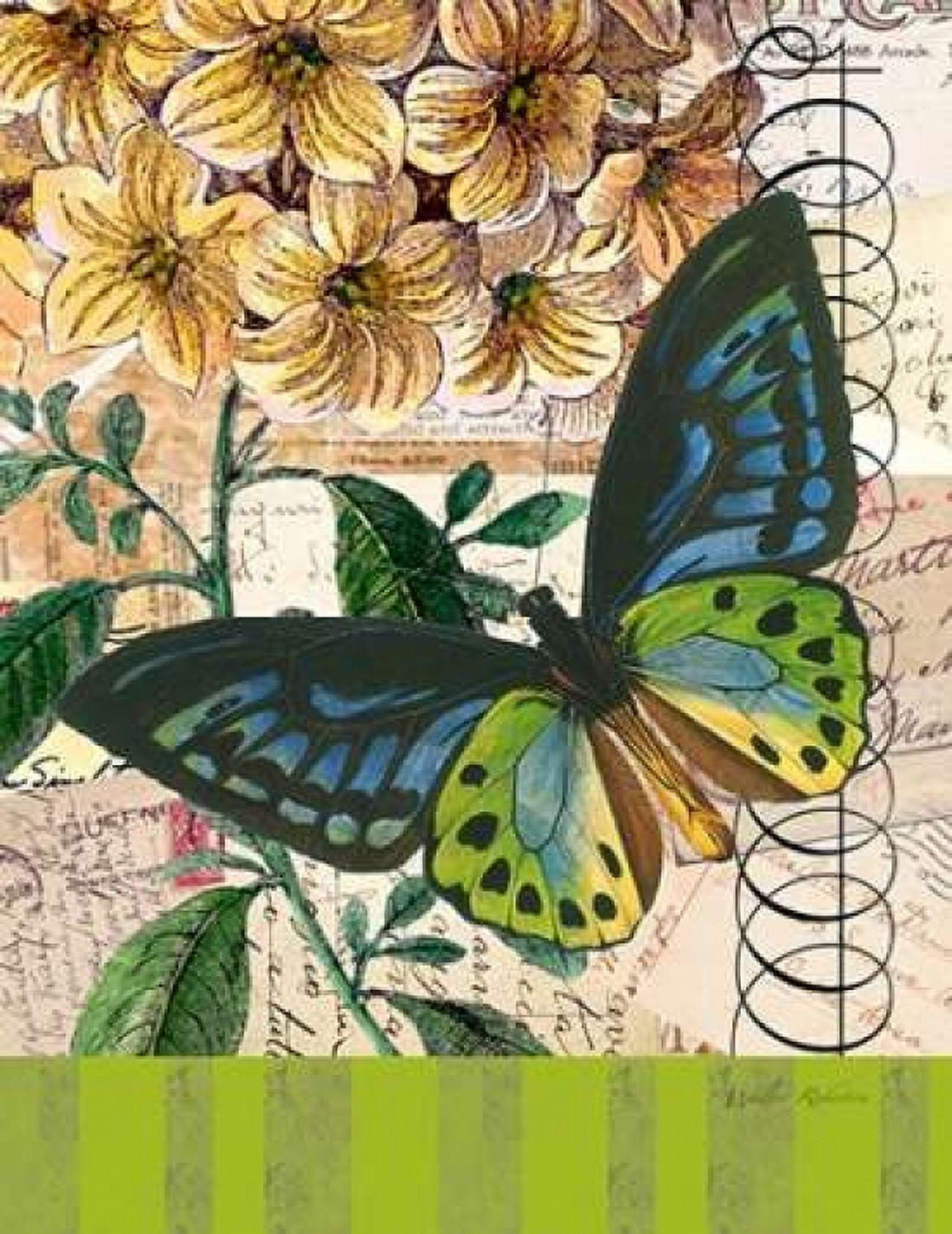 Bountiful Butterfly 2 Canvas Art - Walter Robertson (22 x 28)