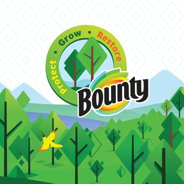 Procter &amp; Gamble Bounty 12 Double Rolls Select-A-Size Paper Towels ...