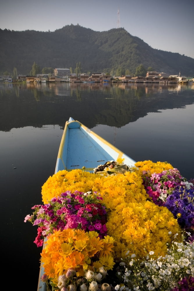 Bouquet Of Flowers In Bow Of Boat Dal Lake Srinagar Kashmir India Canvas Art - David DuChemin Design Pics (24 x 38)