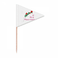thumbnail image 1 of Bouquet s Encourage Expression Toothpick Triangle Cupcake Toppers Flag, 1 of 3