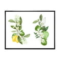 thumbnail image 1 of Bouquets Of Blooming Lemon Tree Branches on White 20 in x 12 in Framed Painting Canvas Art Print, by Designart, 1 of 5